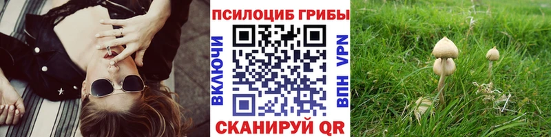 Галлюциногенные грибы ЛСД  Купить  Красный Холм 